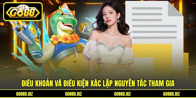 Điều khoản và điều kiện xác lập nguyên tắc tham gia